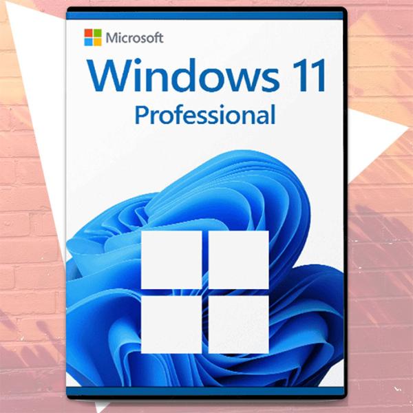 Windows 11 Pro